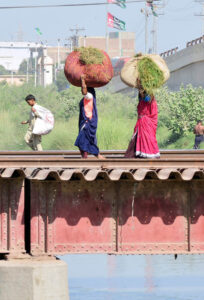 Gypsy women passing thought rail bridge while carrying grass bundles on their head at Channel Mori area.