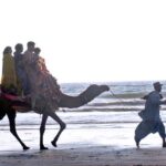 A family enjoying camel ride at Seaview Clifton