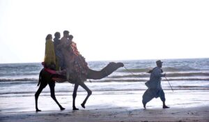 A family enjoying camel ride at Seaview Clifton