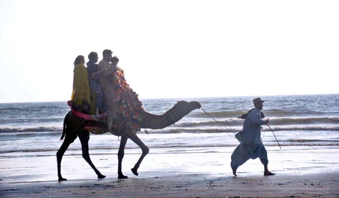 A family enjoying camel ride at Seaview Clifton
