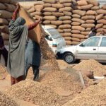 Treaders displaying fresh peanuts at Grain Market to selling and attract the customers in the city