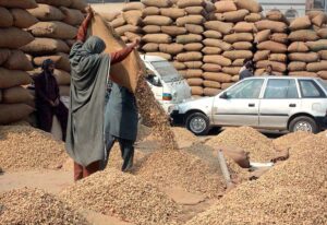 Treaders displaying fresh peanuts at Grain Market to selling and attract the customers in the city