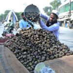 A vendor displaying water chestnut (singhara) to attract customers