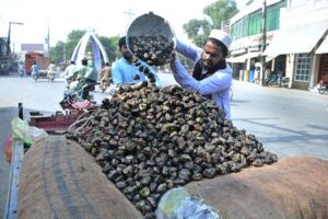 A vendor displaying water chestnut (singhara) to attract customers