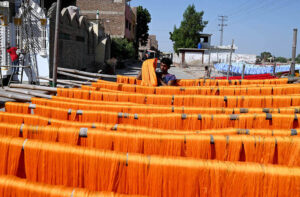 A worker busy collecting dry wool after dyeing and drying on bamboo stands outside a factory in the city.