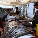 Roadside vendor displaying fishes to attract the customers at Faqir ka pir road