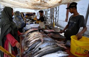 Roadside vendor displaying fishes to attract the customers at Faqir ka pir road
