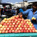 Vendor displaying apples to attract the customer at cloth market road