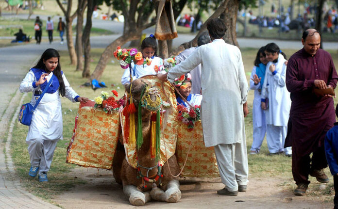 Students from various colleges and universities enjoy camel rides during their trip to Jilani Park