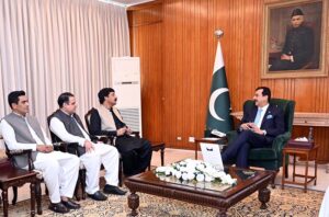 Governor Punjab, Sardar Saleem Haider Khan, called on Acting President Syed Yousuf Raza Gillani, at Aiwan-e-Sadr
