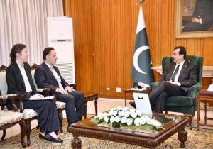 The Ambassador of Republic of Turkiye, Irfan Neziroglu, calls on the Acting President Syed Yousaf Raza Gillani, at Aiwan-e-Sadr.