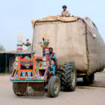 An overloaded tractor trolley carrying chaff (husk of wheat) on Kabirwala road while a person sits on the top