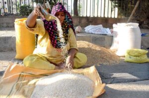 A woman sorts through rice grain at her roadside setup near Nanakwadar. She works with precision, picking out small stones, broken grains, or any debris mixed in with the rice.