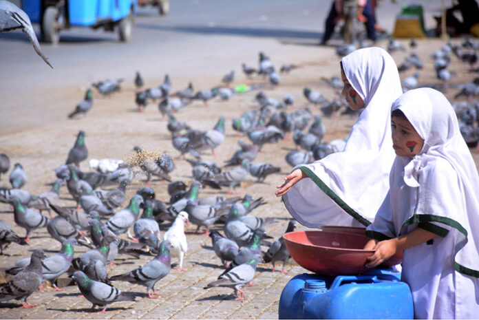 School going children feeding a flock of pigeons along the roadside