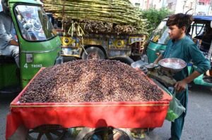 A young hawker displays dates on his handcart to attract customers for selling on Dalazak Road.