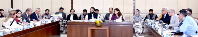 Senator Faisal Saleem Rehman, Chairman Senate Standing Committee on Interior presiding over a meeting of the committee at Parliament House