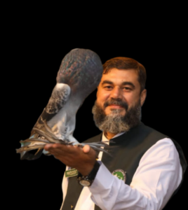 Cultivating passion: The art of breeding and raising rare pigeons