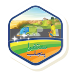 598 encroachments, 21,000 illegal ads removed under Suthra Punjab campaign