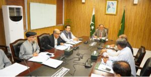 Planning Minister reviews progress on transfer of Pak-PWD projects
