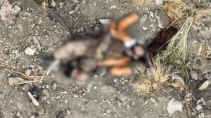 Security Forces foil infiltration attempt on Pak-Afghan border, 5 khwarij killed