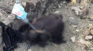 Security Forces foil infiltration attempt on Pak-Afghan border, 5 khwarij killed