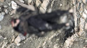 Security Forces foil infiltration attempt on Pak-Afghan border, 5 khwarij killed