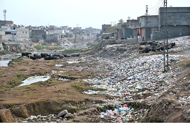 A view of garbage spreading along nullah at Pindorian Bridge is creating environmental problems and needs the attention of the concerned authorities