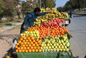 A vendor selling fresh fruits to attract customers near G-7 area in the Federal Capital.