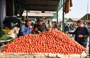 A vendor selling seasonal fruits at stall in weekly Sunday Bazaar Aabpara in Federal Capital