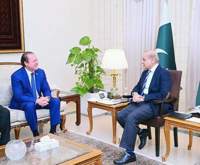 A delegation of leading US Investors led by Gentry Beach called on Prime Minister Muhammad Shehbaz Sharif