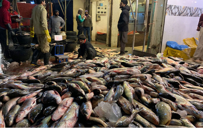 Vendors display and sell fish to attract customers at the fish market
