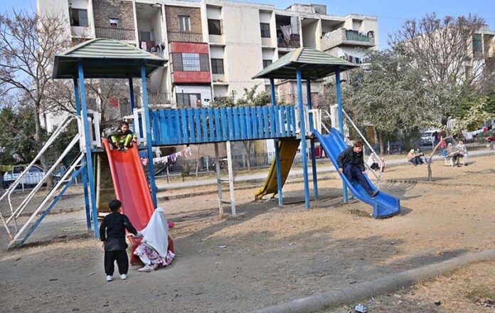 Youngsters enjoy slides at local park in the Federal Capital
