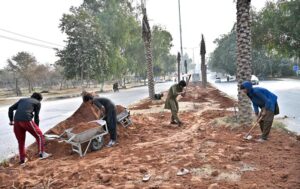CDA staffers busy in leveling and preparing the centerpath of road for sapling plants at I-8/4 in Federal Capital.