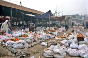 Vendors displaying oranges to attract the customers.