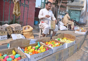 A vendor displaying colorful chicks to attract customers at Dolat Gate.