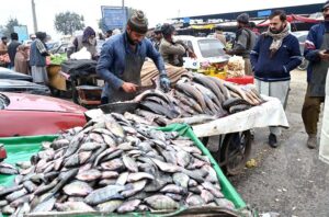 Vendors displaying dry fruits to attract the customers at Pirwadhai