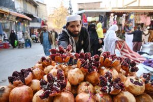 Vendor displaying pomegranate to attract the customer at Kohati area