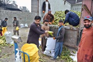 Vendors displaying dry fruits to attract the customers at Pirwadhai