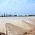 A view of plants covered with plastic sheets to protect from cold weather in the city