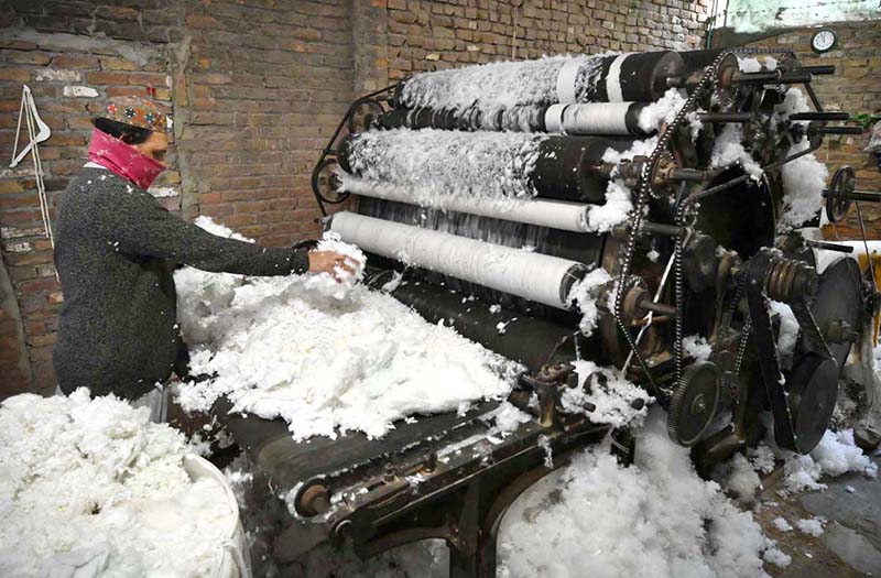 A man use machine to clean cotton, making it fresh and dust-free for refilling pillows and quilts at Dabgari area