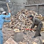 Labourers are busy cutting wood into pieces at their workplace