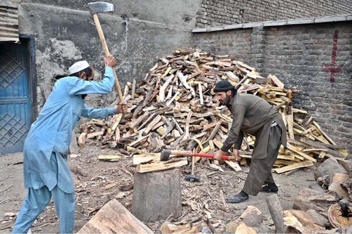 Labourers are busy cutting wood into pieces at their workplace
