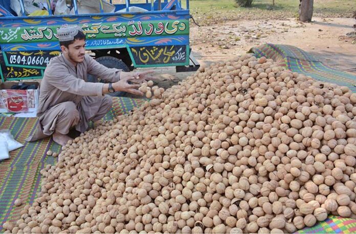 A vendor arranging and displaying dry fruits to attract the customers at his roadside setup