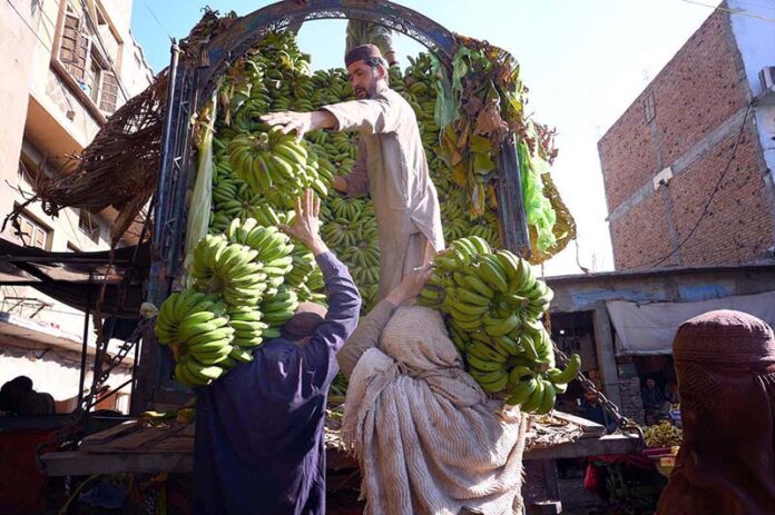 Laborers unload a fresh shipment of bananas from delevery truckat the Fruit Market