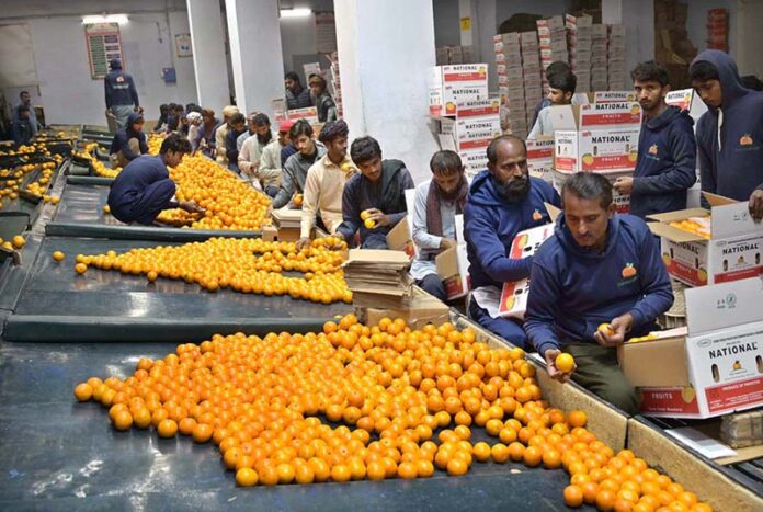 APP14-130125Sargodha