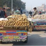 Vendors displaying sweet jaggery, unrefined sugar made from sugarcane on their carts on their carts to attract customers at Masoom Shah Road