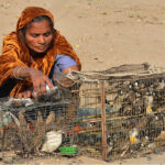 A woman vendor displays caged birds for sale, attracting customers at a roadside market in the city