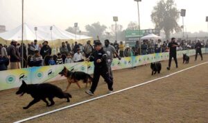 People along with their dogs participating in all breeds championship dog show at University of Agriculture Faisalabad (UAF).