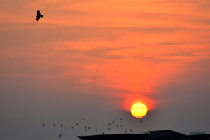 A view of the Sunrise of the New Year 2025 in the city