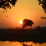 A mesmerizing view of the sunset graces the horizon over Jamshoro, offering a picturesque moment of natural beauty